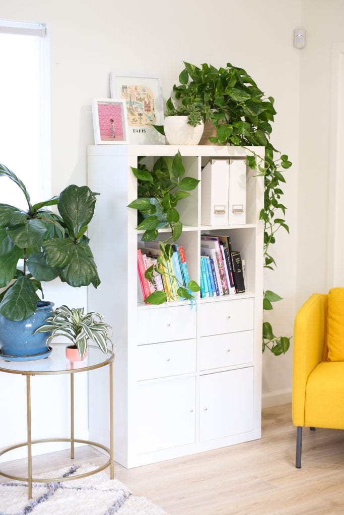 colorful room with indoor plants