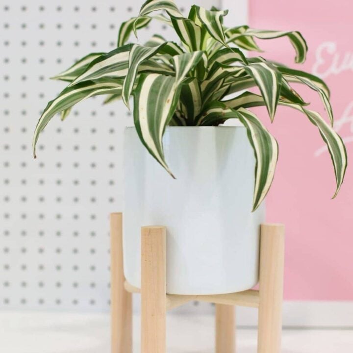 DIY Midcentury Modern Plant Stand