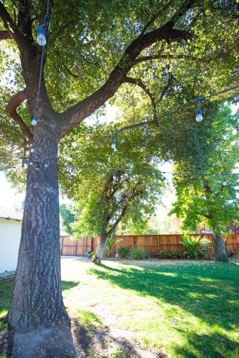Backyard plans