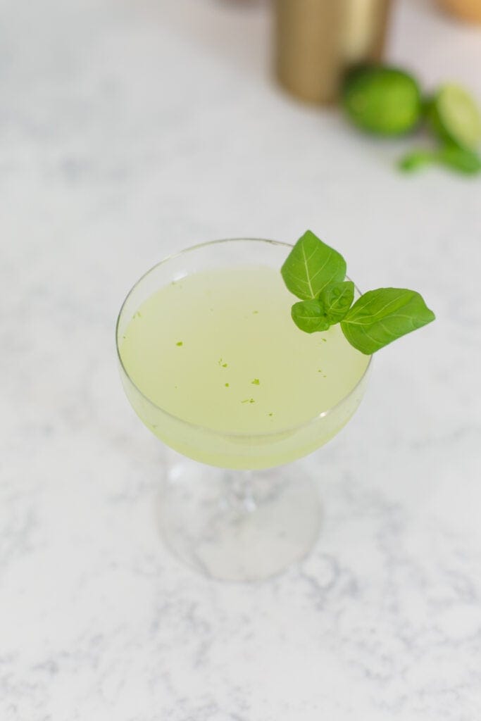 cocktail in coupe glass with basil garnish