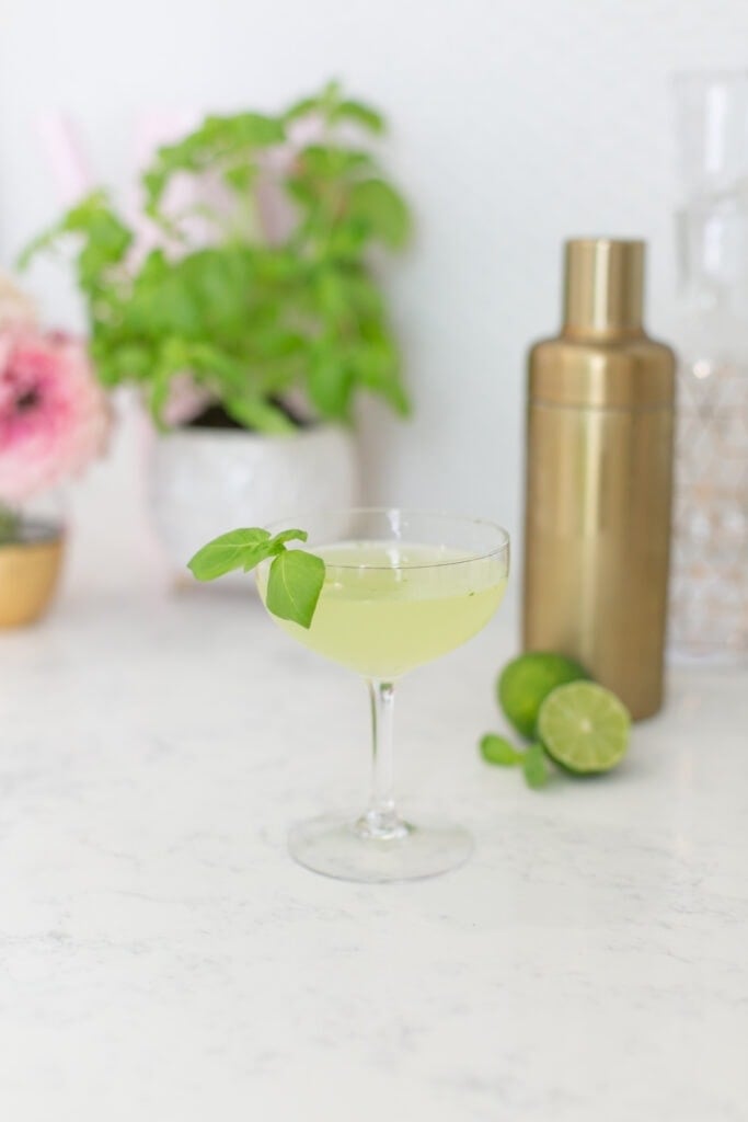 basil gimlet cocktail