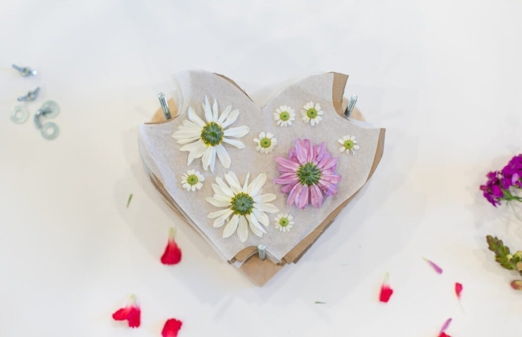 flowers on a heart shaped diy flower press