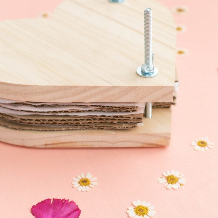 heart shaped diy flower press with dried flowers
