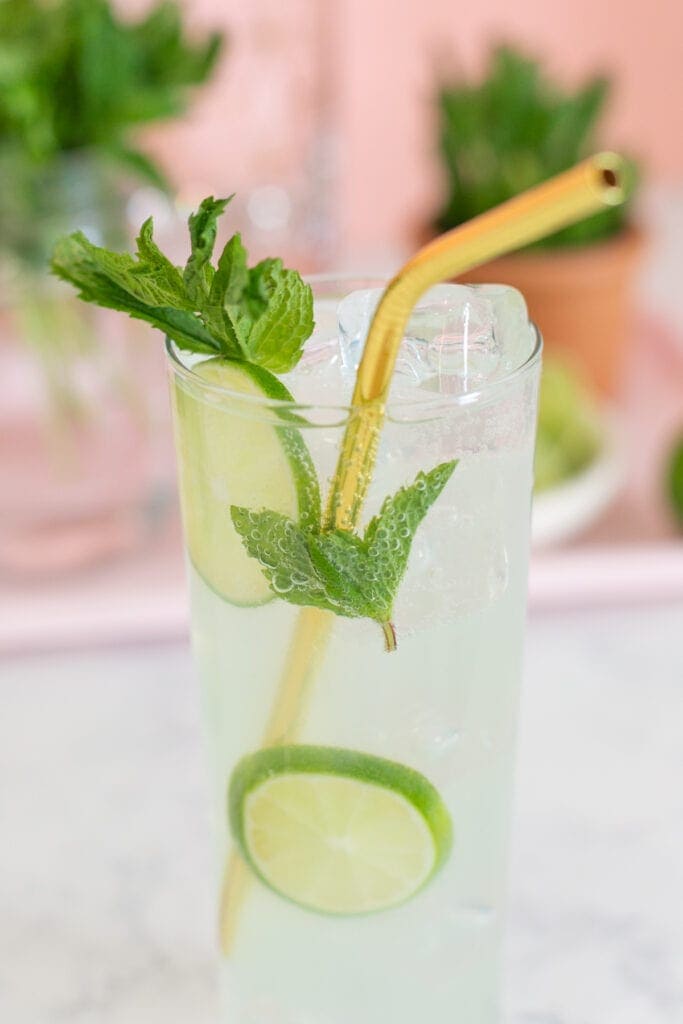 mojito mocktail and cocktail sitting on counter