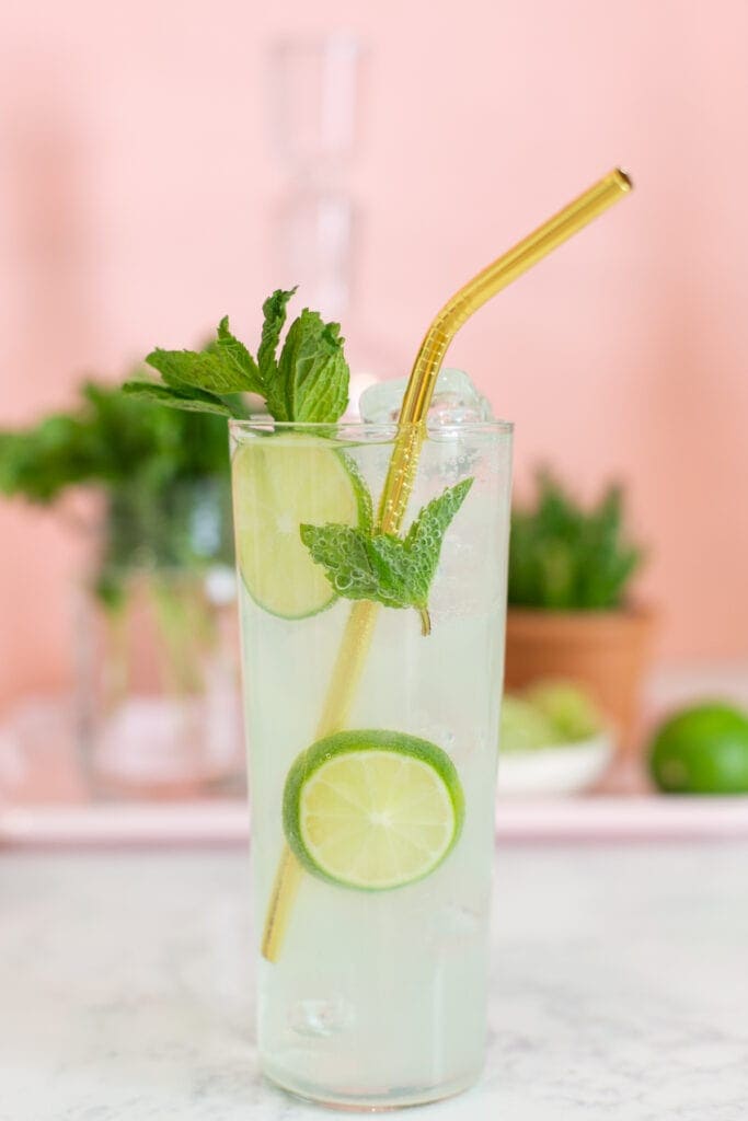 mojito mocktail and cocktail sitting on counter