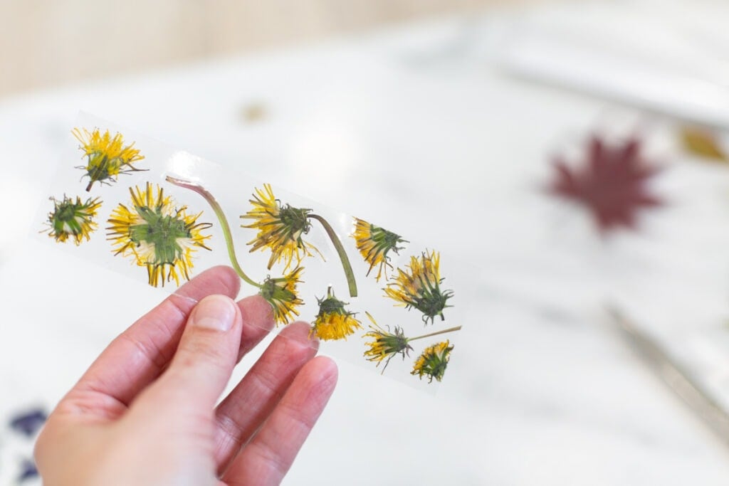 pressed flower bookmark