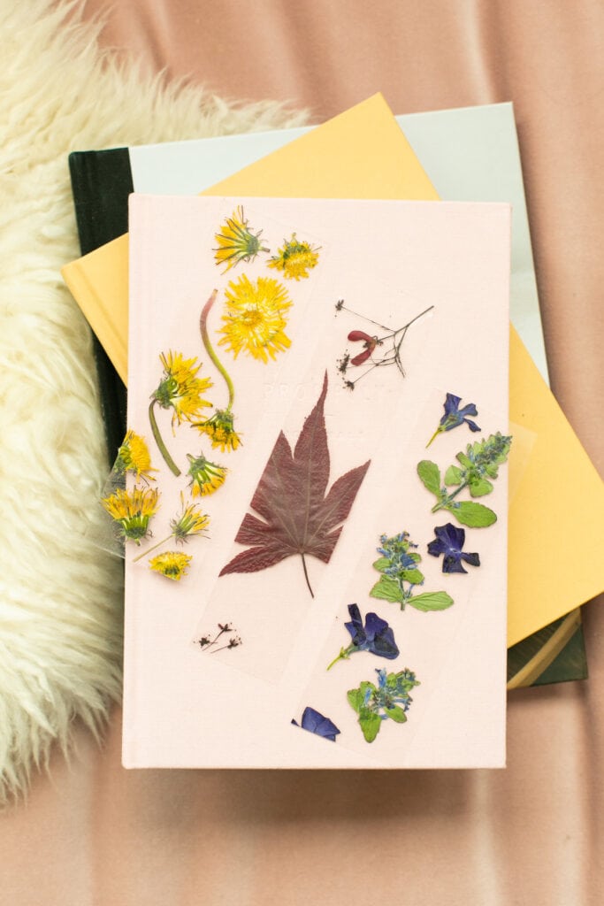 How to make bookmarks with pressed flowers