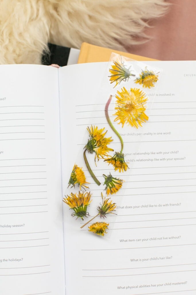 How to make bookmarks with pressed flowers