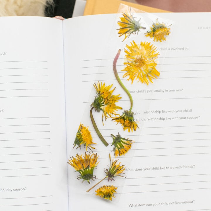 How to make bookmarks with pressed flowers