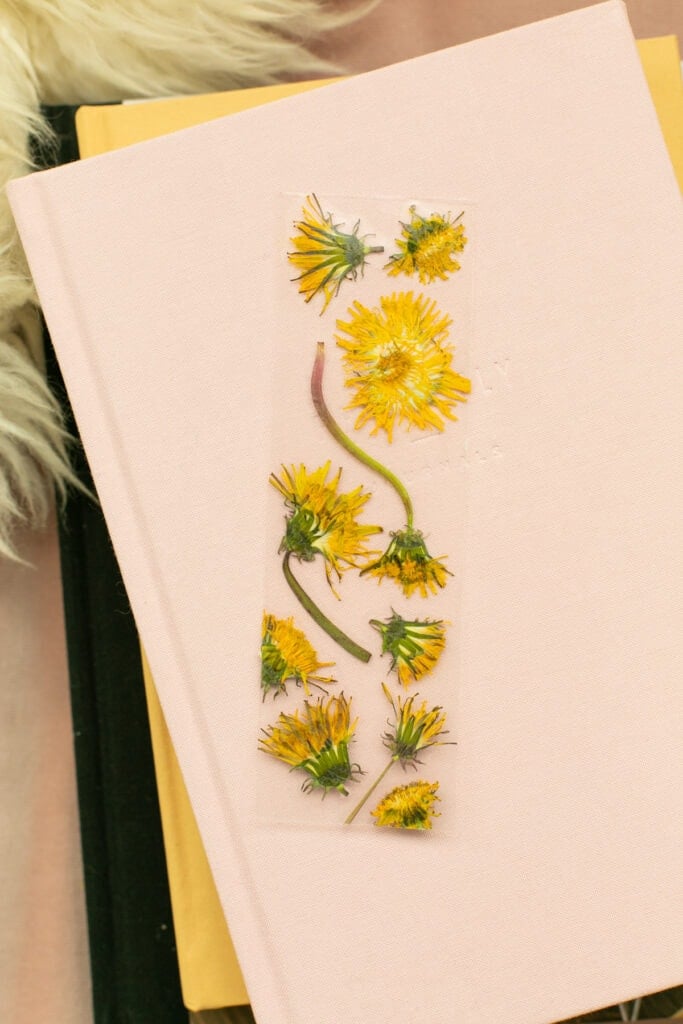 How to make bookmarks with pressed flowers