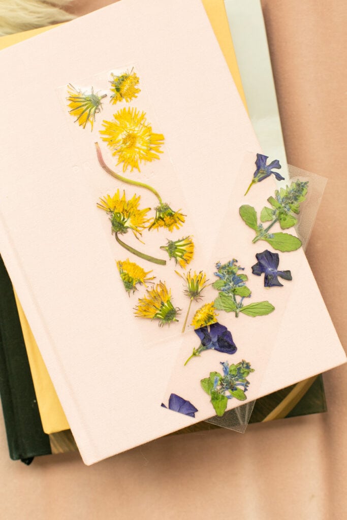 How to make bookmarks with pressed flowers