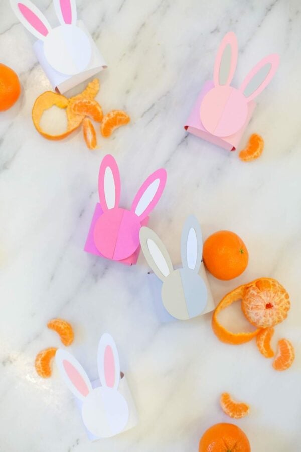 Printable Bunny Box for Easter