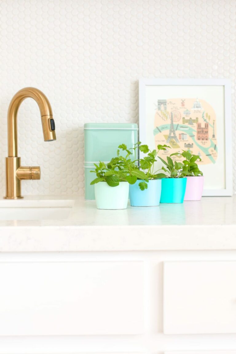 DIY Upcycled Indoor Herb Garden