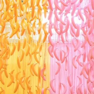 Completely Bananas Print