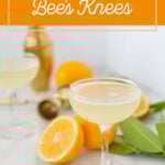 bees knees cocktail