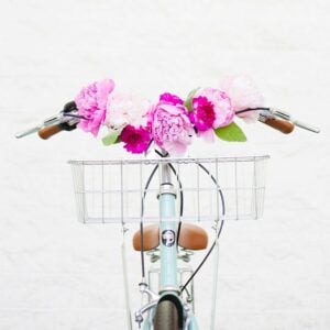 Bike Print