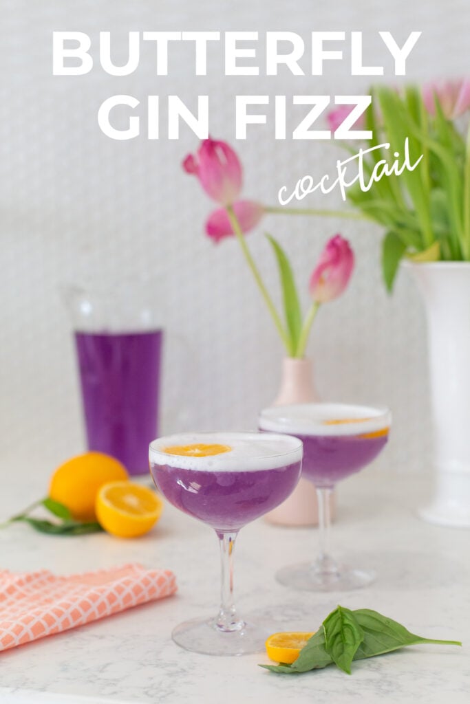 butterfly gin fizz cocktail