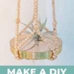 diy plant hanger