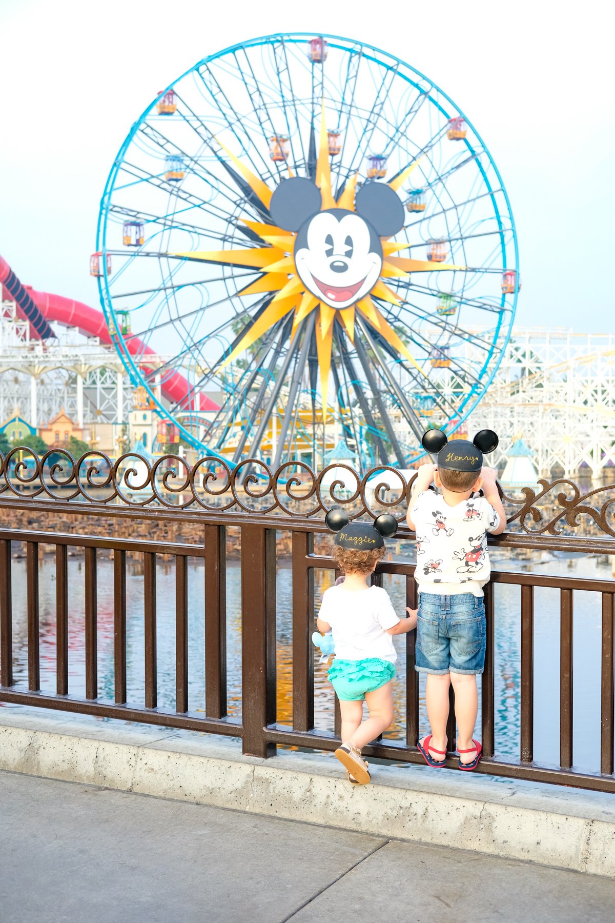 Best Secret Disneyland Tips and Hacks