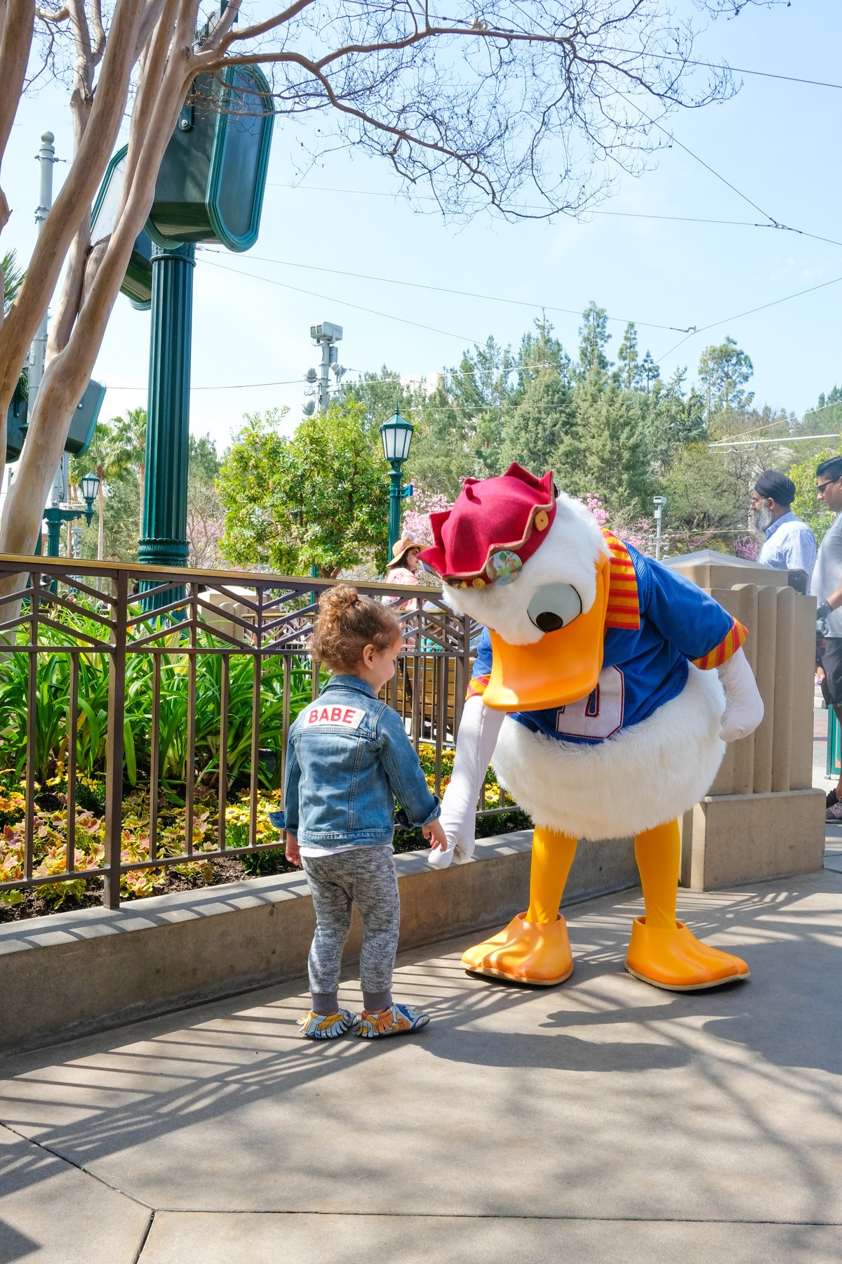 Best Secret Disneyland Tips and Hacks