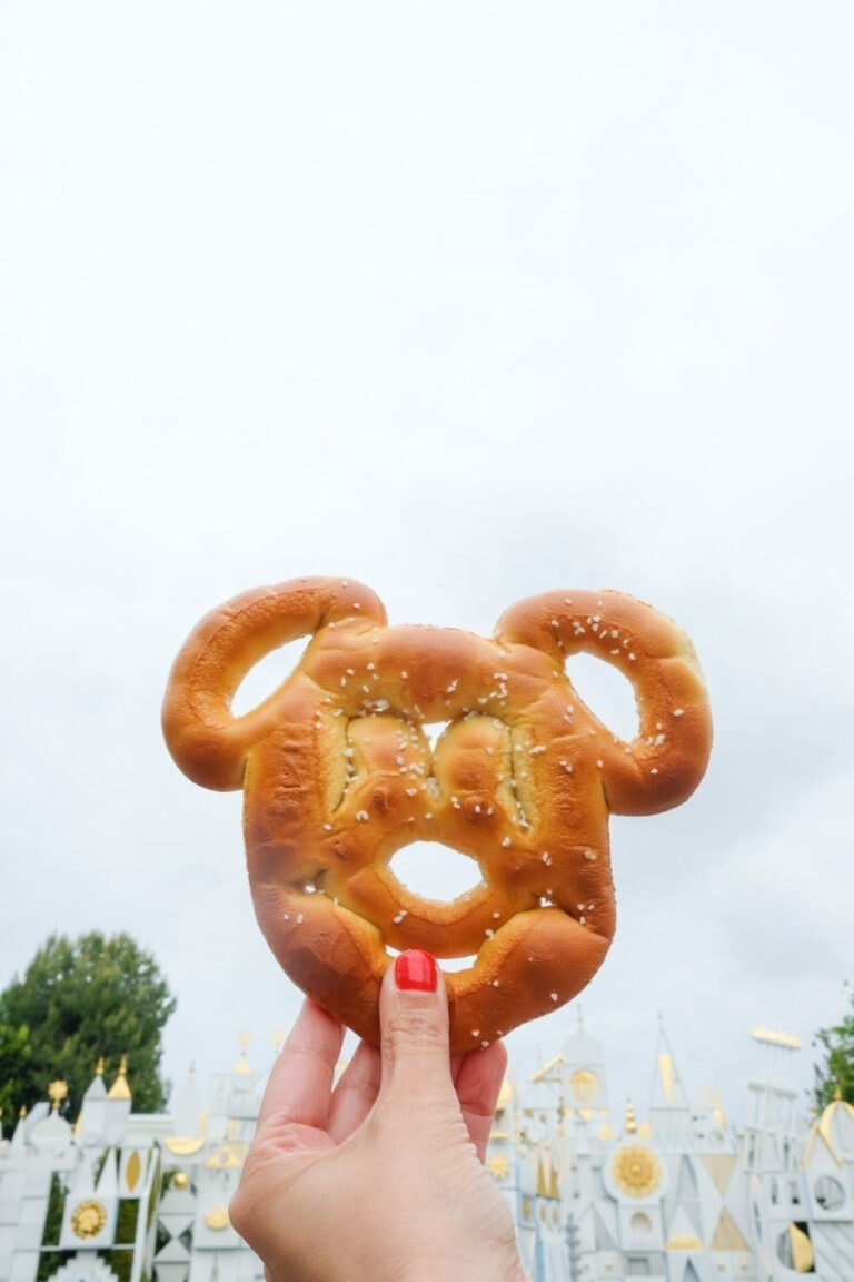 Best Secret Disneyland Tips and Hacks
