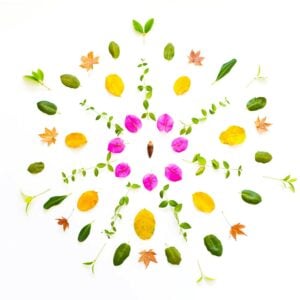 Leaf Mandala Print