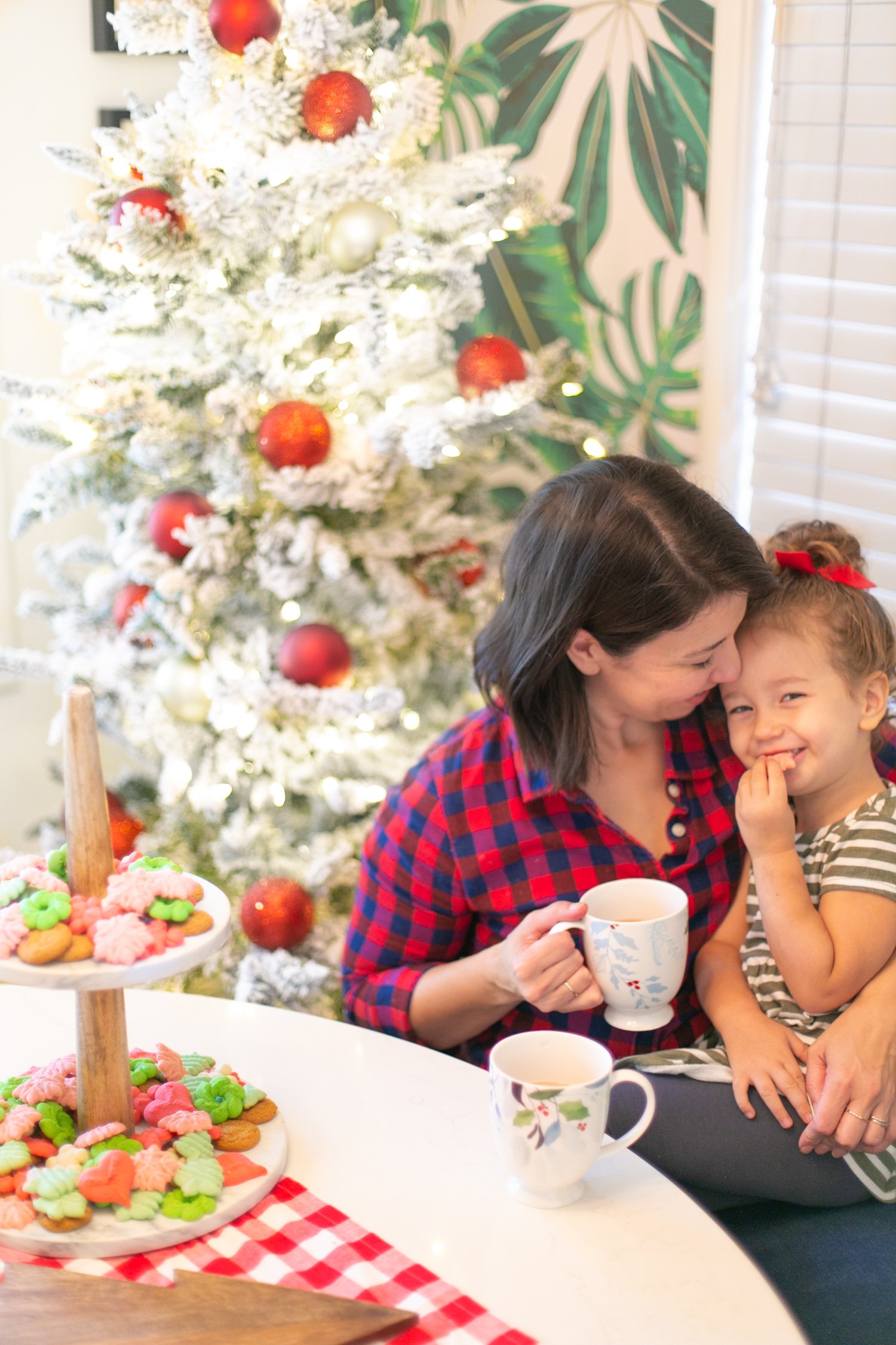 Christmas spritz cookie recipe