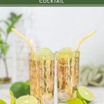 gin and ginger ale