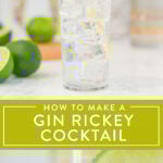 gin rickey cocktail