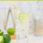 gin rickey cocktail