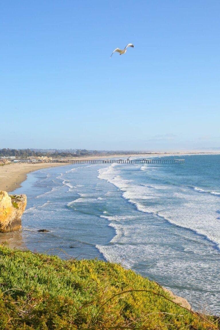 Best stops for kids on a road trip down the California coast