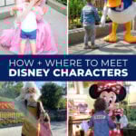 meet disneyland characters