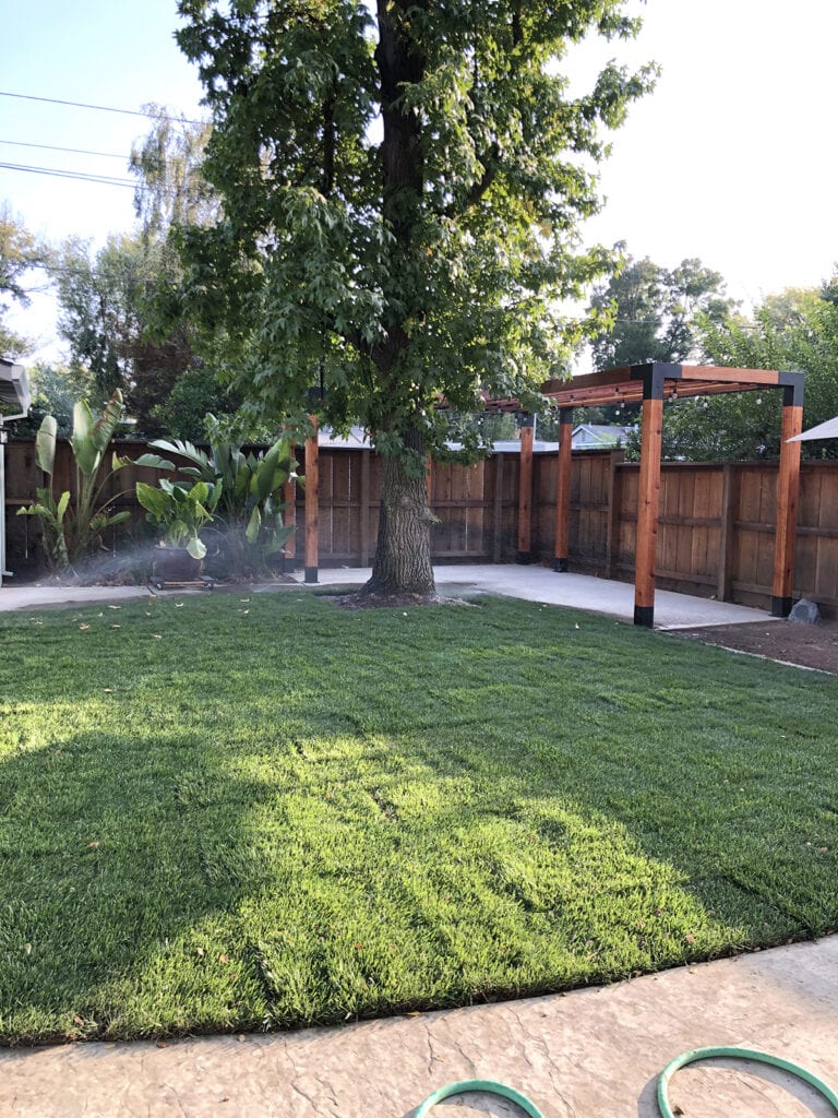 finished pergola