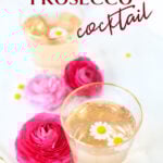 prosecco cocktail