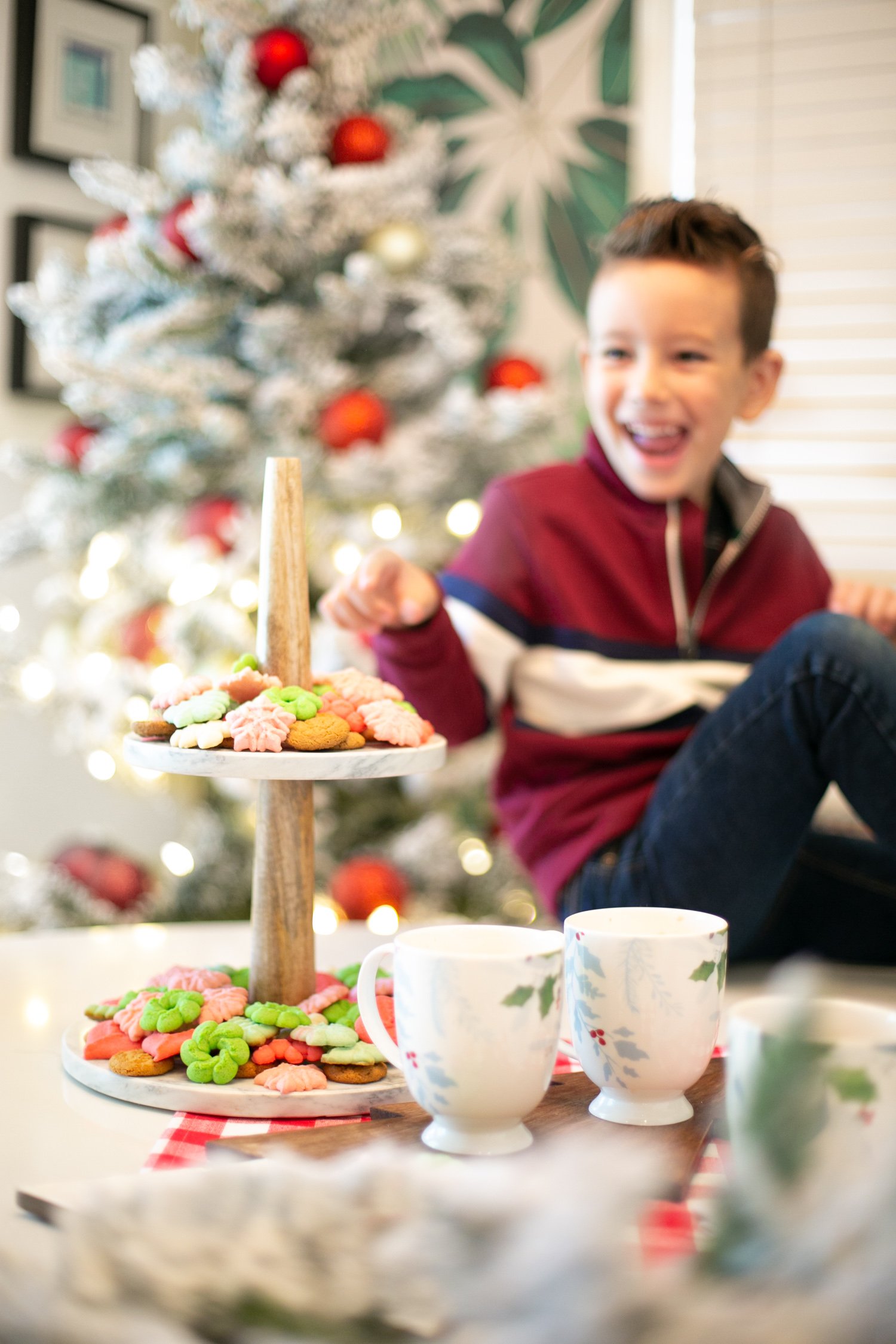 Christmas spritz cookie recipe