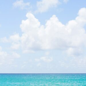 Waimea Print