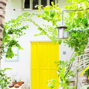 Yellow Door Print