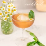 old cuban cocktail